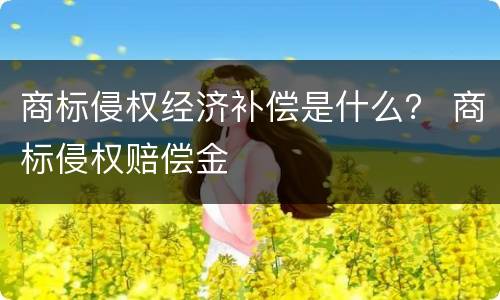 商标侵权经济补偿是什么？ 商标侵权赔偿金