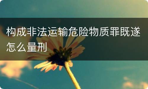 构成非法运输危险物质罪既遂怎么量刑