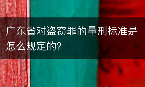 广东省对盗窃罪的量刑标准是怎么规定的？