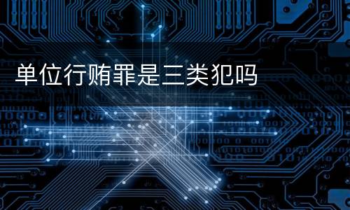 单位行贿罪是三类犯吗