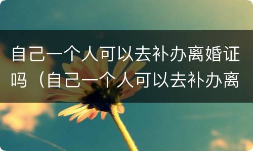 自己一个人可以去补办离婚证吗（自己一个人可以去补办离婚证吗要多少钱）