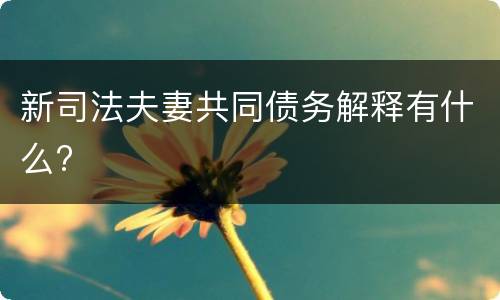 新司法夫妻共同债务解释有什么?