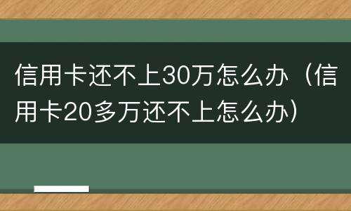 信用卡还不上30万怎么办（信用卡20多万还不上怎么办）