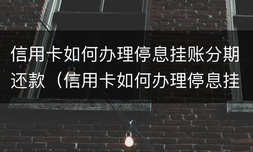 信用卡如何办理停息挂账分期还款（信用卡如何办理停息挂账分期还款业务）