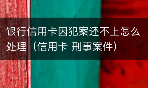 银行信用卡因犯案还不上怎么处理（信用卡 刑事案件）