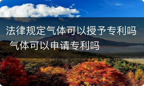 法律规定气体可以授予专利吗 气体可以申请专利吗