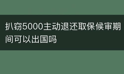 扒窃5000主动退还取保候审期间可以出国吗
