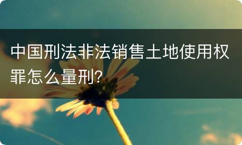 中国刑法非法销售土地使用权罪怎么量刑？