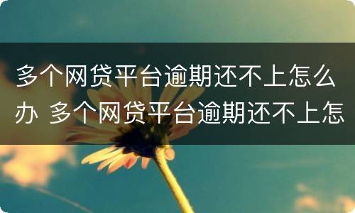 多个网贷平台逾期还不上怎么办 多个网贷平台逾期还不上怎么办呢