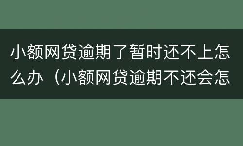 小额网贷逾期了暂时还不上怎么办（小额网贷逾期不还会怎么样）