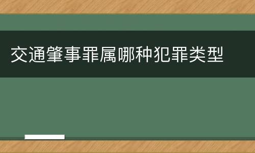 交通肇事罪属哪种犯罪类型