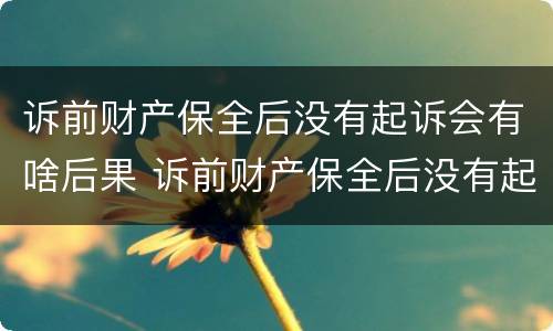 诉前财产保全后没有起诉会有啥后果 诉前财产保全后没有起诉会有啥后果吗