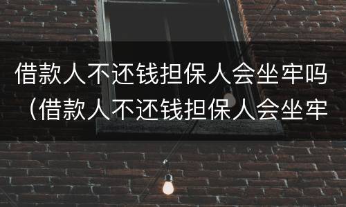 借款人不还钱担保人会坐牢吗（借款人不还钱担保人会坐牢吗知乎）