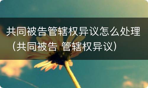 共同被告管辖权异议怎么处理（共同被告 管辖权异议）