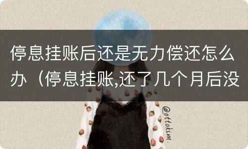 停息挂账后还是无力偿还怎么办（停息挂账,还了几个月后没钱还了怎么办）