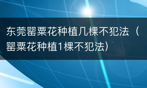 东莞罂粟花种植几棵不犯法（罂粟花种植1棵不犯法）