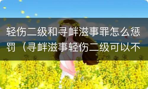 轻伤二级和寻衅滋事罪怎么惩罚（寻衅滋事轻伤二级可以不提起公诉吗）