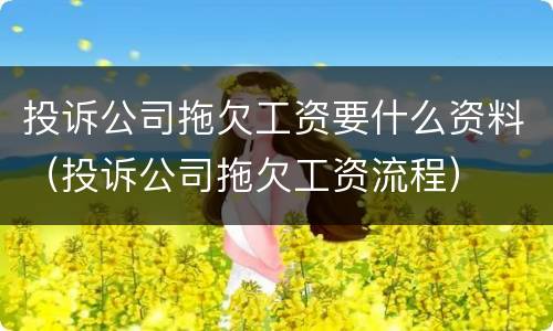 投诉公司拖欠工资要什么资料（投诉公司拖欠工资流程）