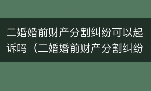 二婚婚前财产分割纠纷可以起诉吗（二婚婚前财产分割纠纷可以起诉吗）