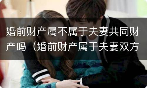 婚前财产属不属于夫妻共同财产吗（婚前财产属于夫妻双方吗）