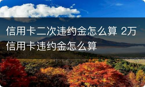 信用卡二次违约金怎么算 2万信用卡违约金怎么算