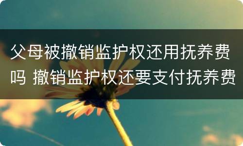 取保候审判刑了保证金能退吗 取保候审判刑了保证金能退吗多久