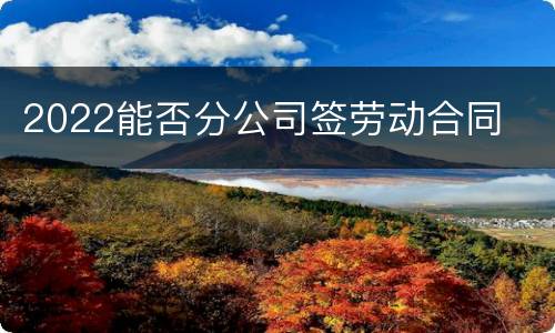 2022能否分公司签劳动合同