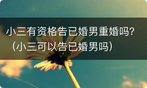 小三有资格告已婚男重婚吗？（小三可以告已婚男吗）