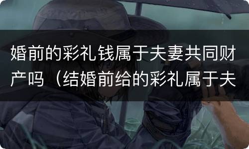 婚前的彩礼钱属于夫妻共同财产吗（结婚前给的彩礼属于夫妻共同财产吗）