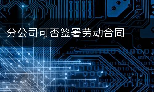 分公司可否签署劳动合同