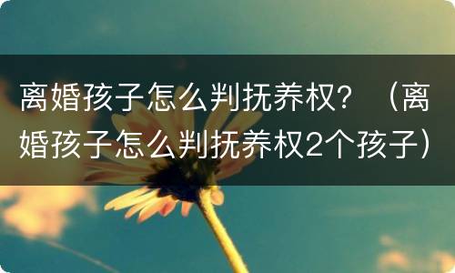 离婚孩子怎么判抚养权？（离婚孩子怎么判抚养权2个孩子）