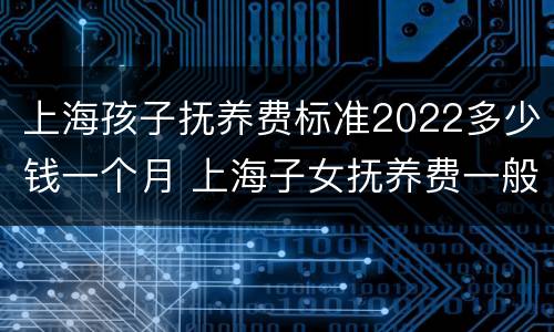 上海孩子抚养费标准2022多少钱一个月 上海子女抚养费一般多少钱一月