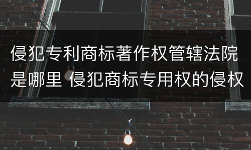 侵犯专利商标著作权管辖法院是哪里 侵犯商标专用权的侵权纠纷