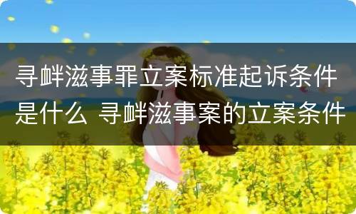 寻衅滋事罪立案标准起诉条件是什么 寻衅滋事案的立案条件