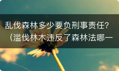乱伐森林多少要负刑事责任？（滥伐林木违反了森林法哪一条）