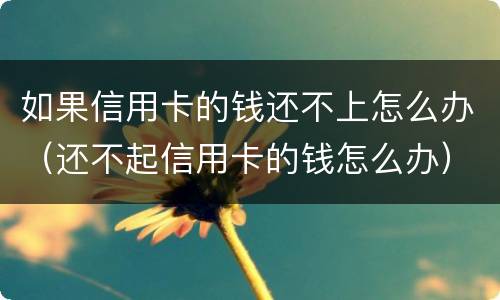 如果信用卡的钱还不上怎么办（还不起信用卡的钱怎么办）