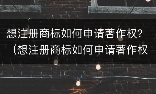 想注册商标如何申请著作权？（想注册商标如何申请著作权证）