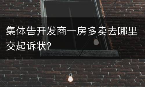 集体告开发商一房多卖去哪里交起诉状？