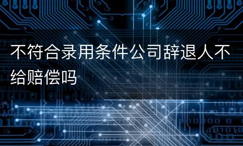 不符合录用条件公司辞退人不给赔偿吗