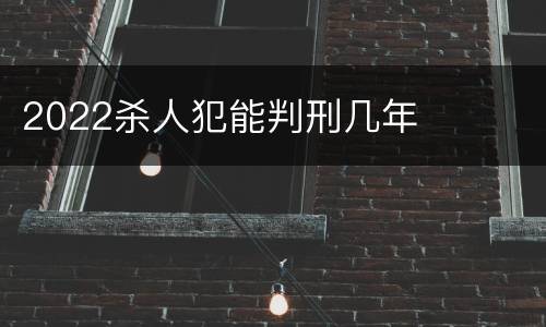 2022杀人犯能判刑几年