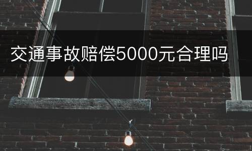 交通事故赔偿5000元合理吗