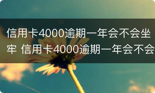 信用卡4000逾期一年会不会坐牢 信用卡4000逾期一年会不会坐牢呢