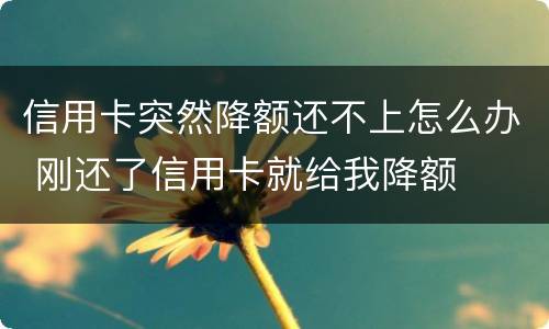 信用卡突然降额还不上怎么办 刚还了信用卡就给我降额