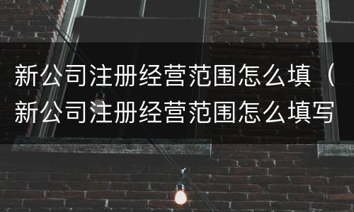 新公司注册经营范围怎么填（新公司注册经营范围怎么填写才正确）
