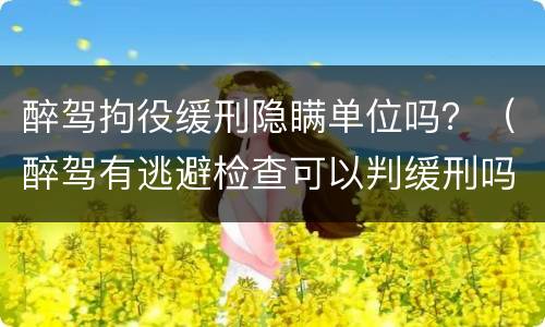 醉驾拘役缓刑隐瞒单位吗？（醉驾有逃避检查可以判缓刑吗?）