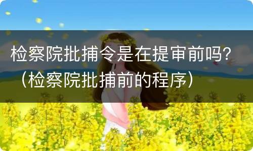 检察院批捕令是在提审前吗？（检察院批捕前的程序）