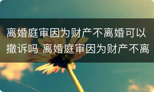 离婚庭审因为财产不离婚可以撤诉吗 离婚庭审因为财产不离婚可以撤诉吗