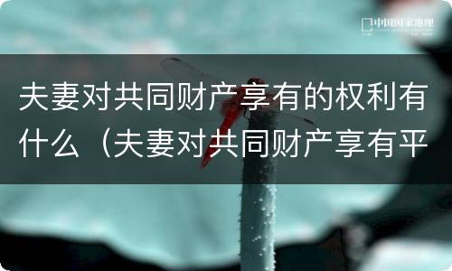 夫妻对共同财产享有的权利有什么（夫妻对共同财产享有平等的什么权利? (单选题）