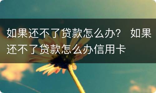 如果还不了贷款怎么办？ 如果还不了贷款怎么办信用卡