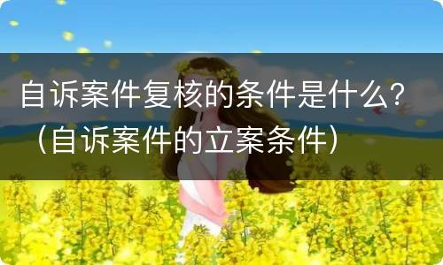 自诉案件复核的条件是什么？（自诉案件的立案条件）